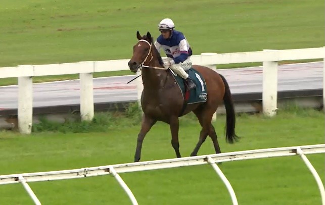 Raposa Rapida gets Pukekohe prize